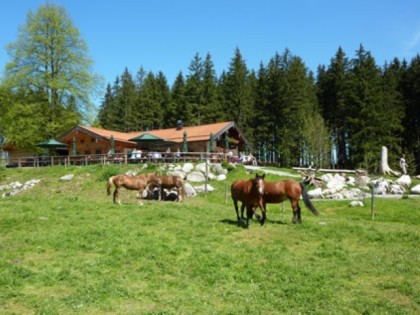 Photo: Käser Alm